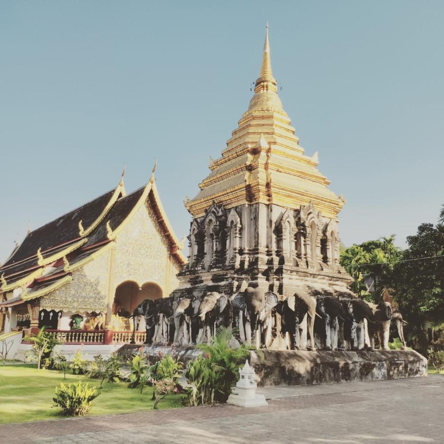Pinghostel (Adults Only) Chiang Mai Exterior photo